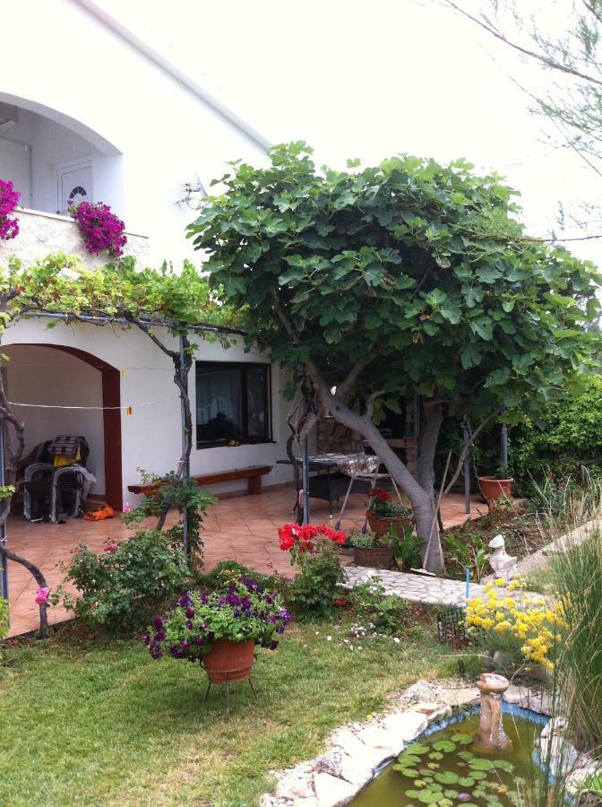 Ražanac Apartments Piccolo Piaccere מראה חיצוני תמונה
